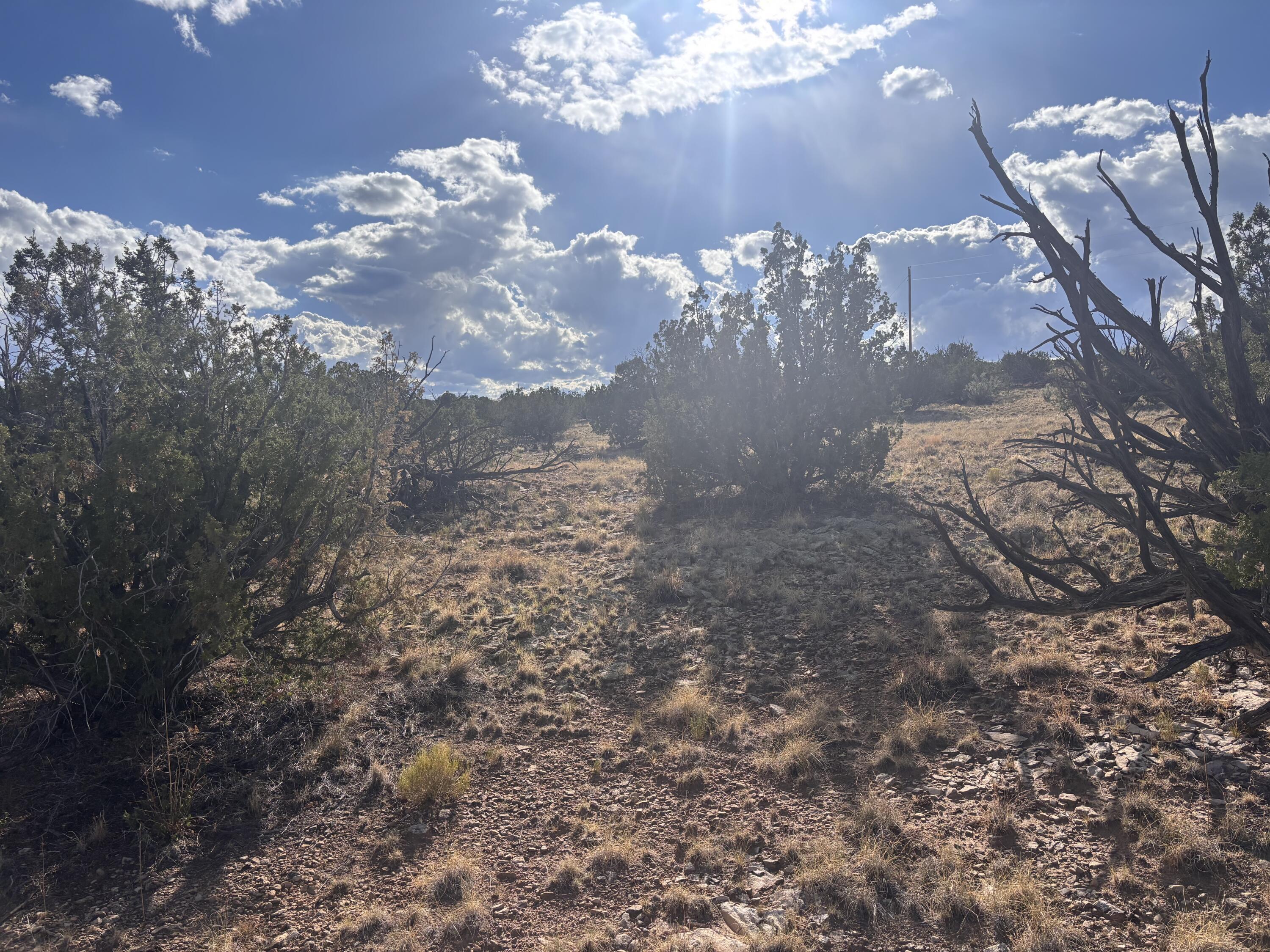 Lot 94 Abbe Springs Ranches