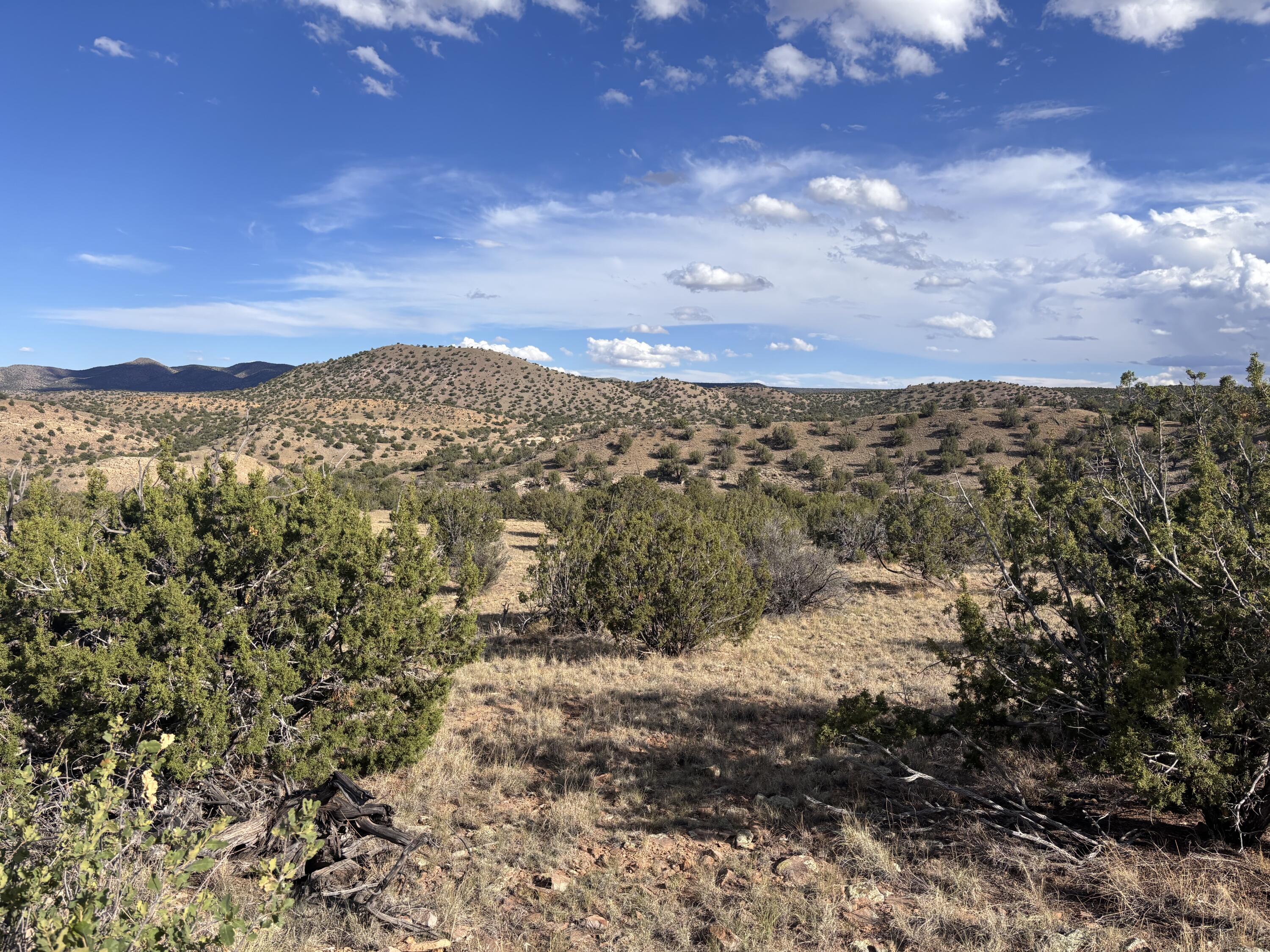 Lot 94 Abbe Springs Ranches