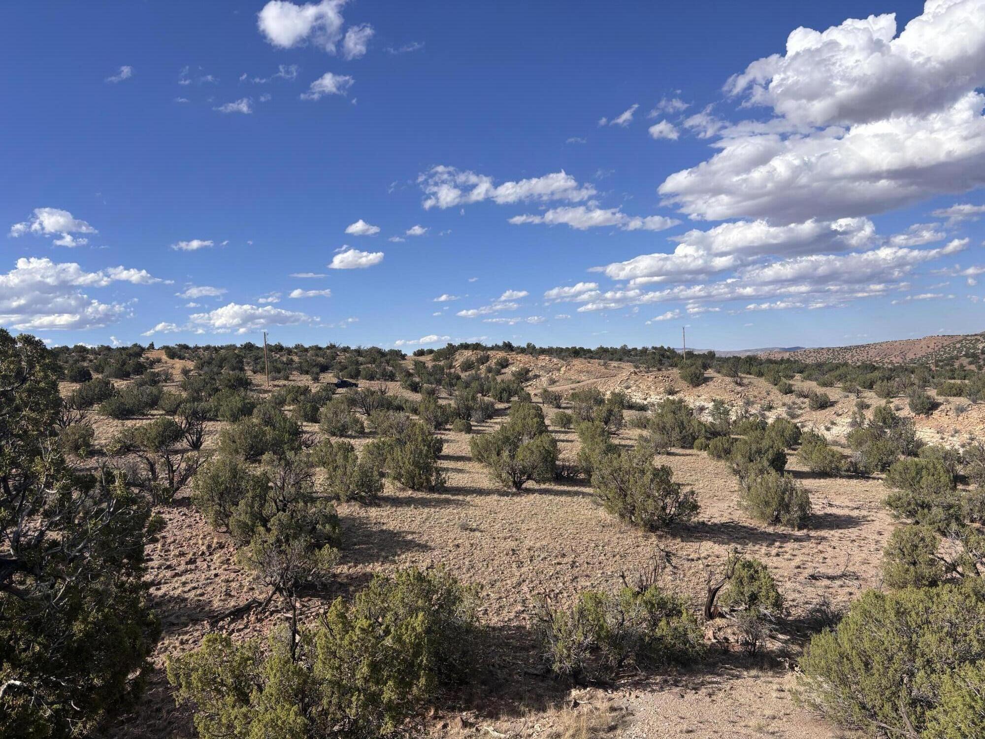 Lot 94 Abbe Springs Ranches