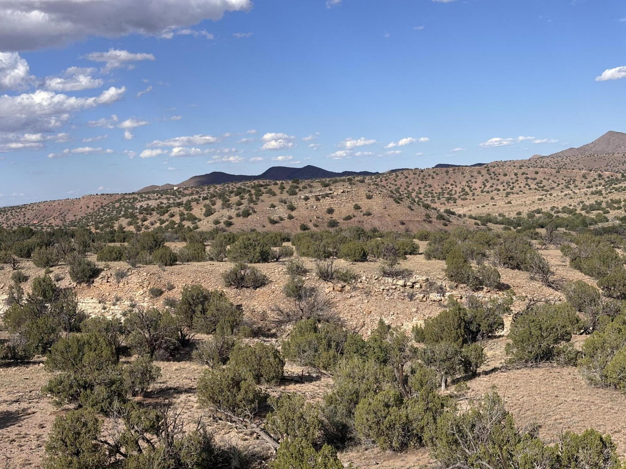 Lot 94 Abbe Springs Ranches