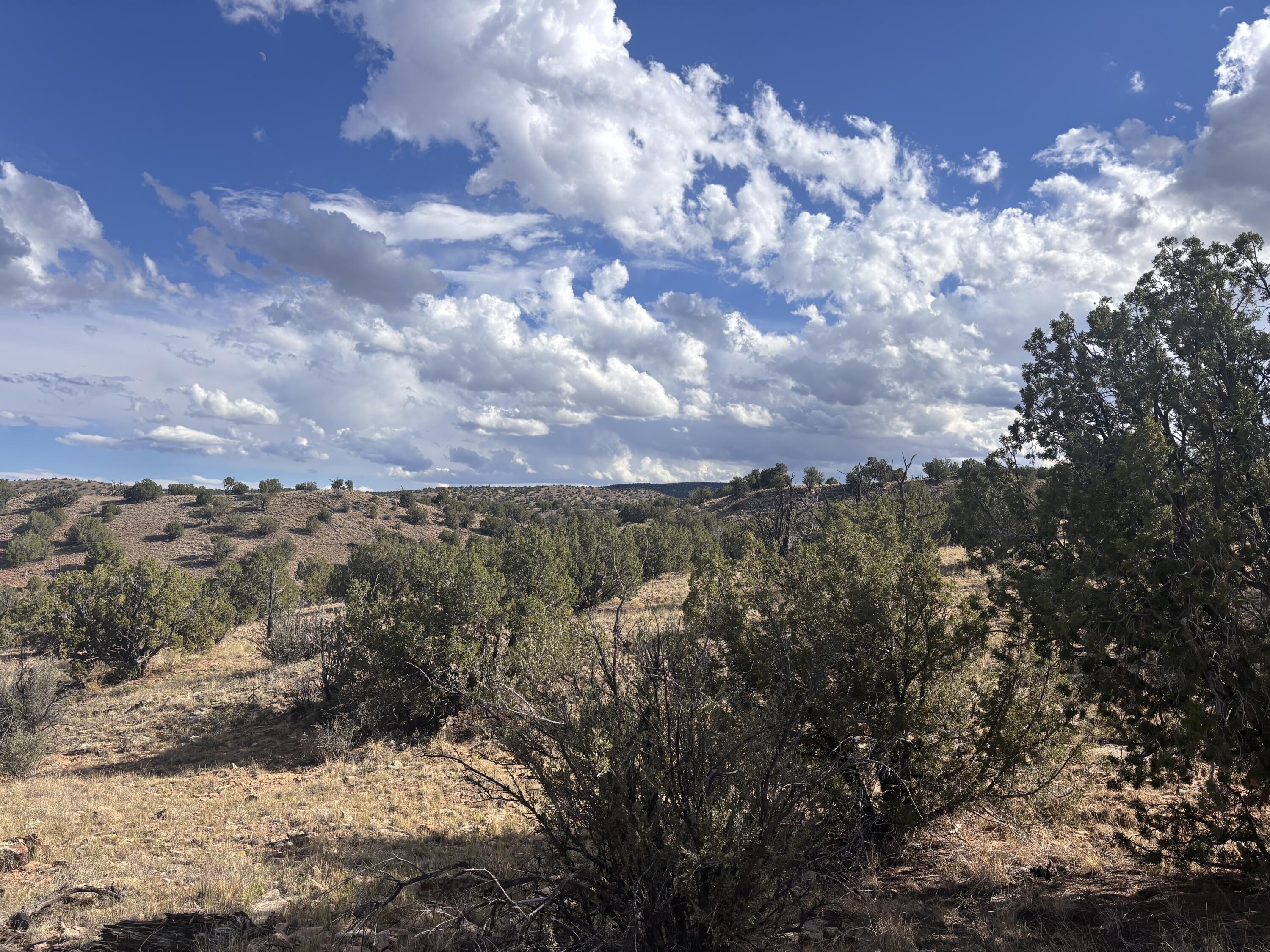Lot 94 Abbe Springs Ranches