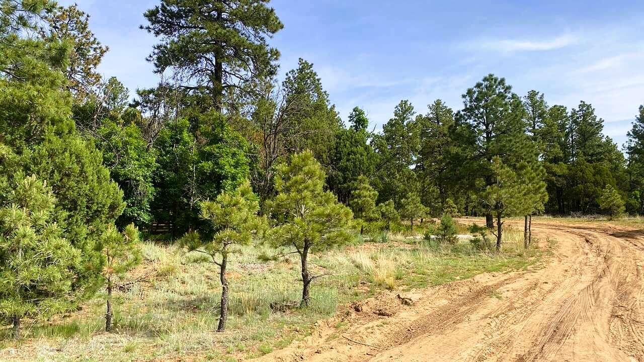 256 Red Canyon Road