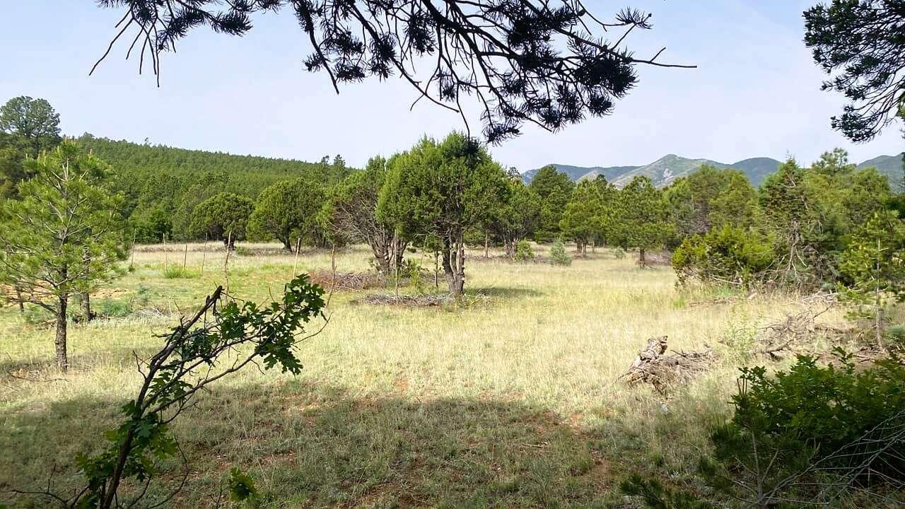 256 Red Canyon Road