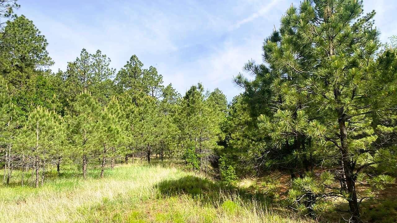 256 Red Canyon Road