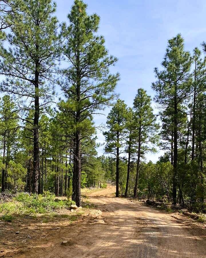 256 Red Canyon Road