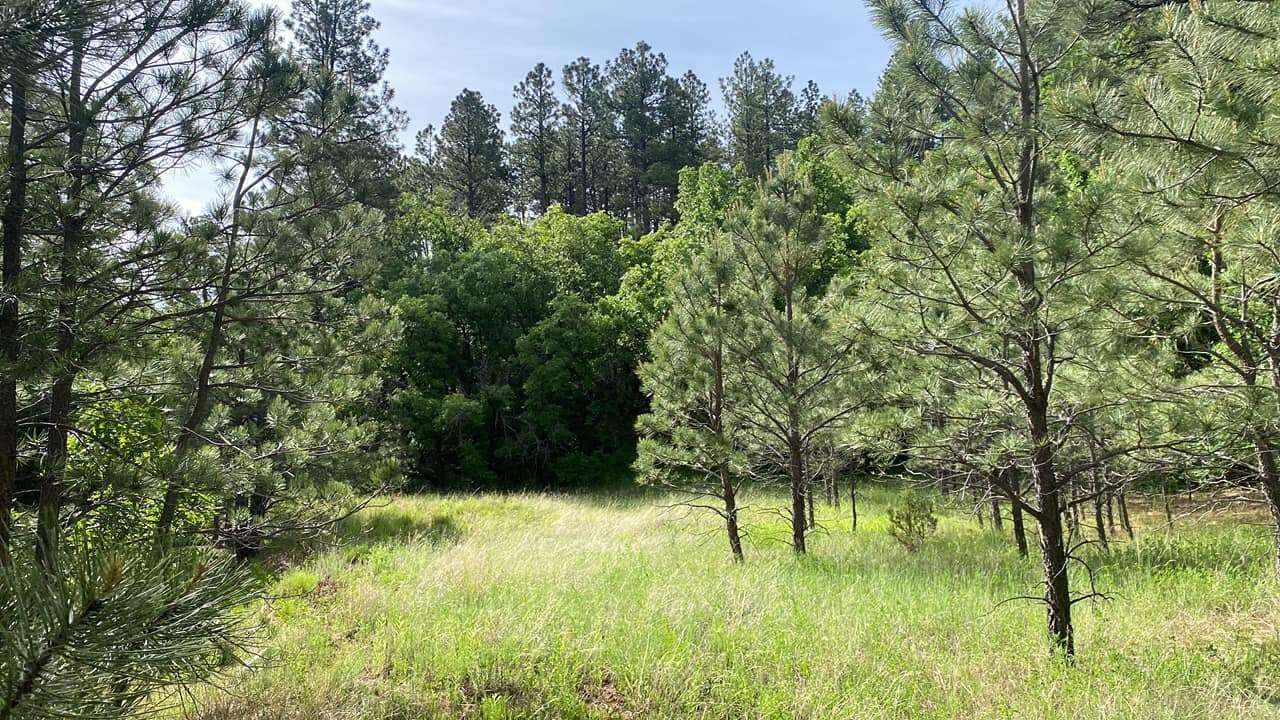 256 Red Canyon Road