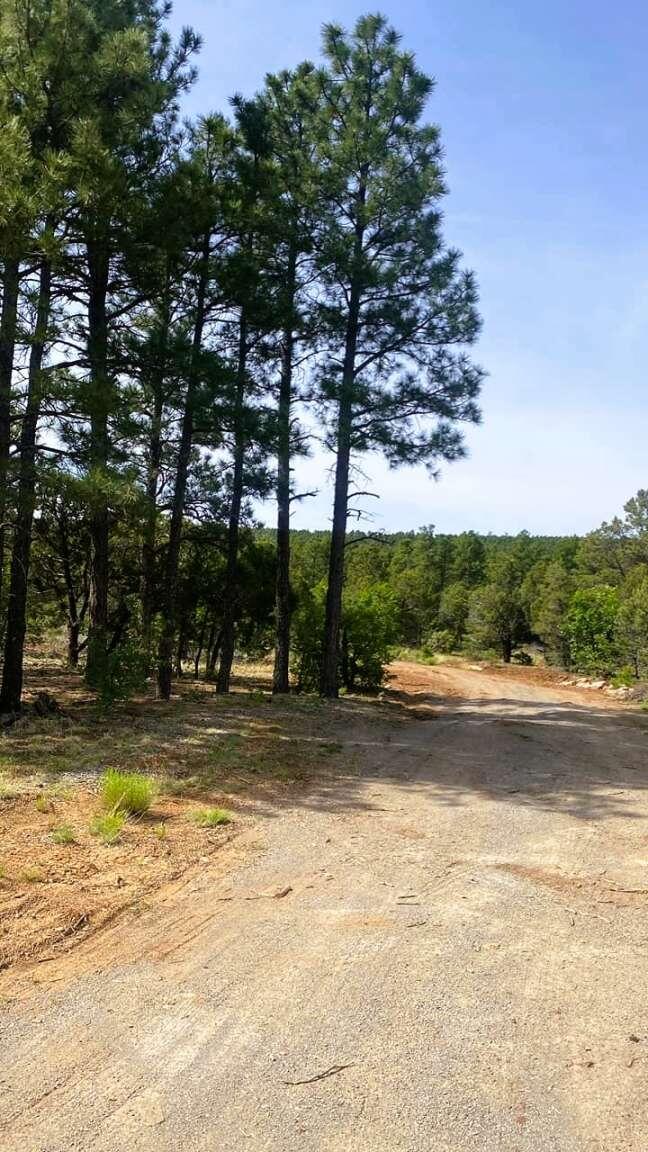 256 Red Canyon Road