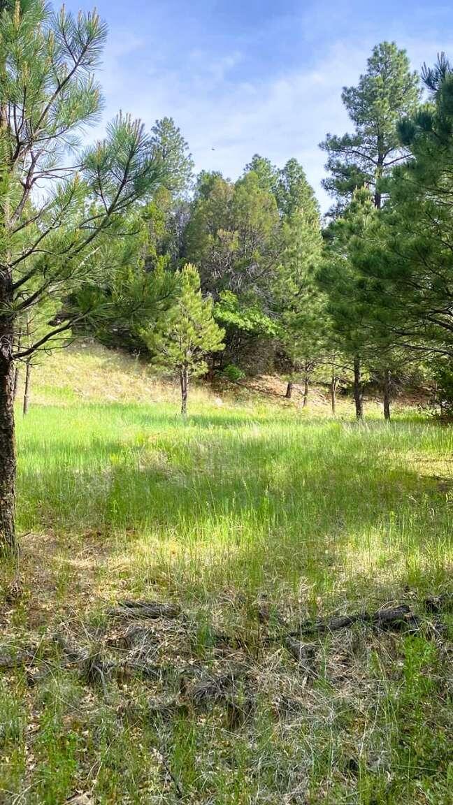 256 Red Canyon Road
