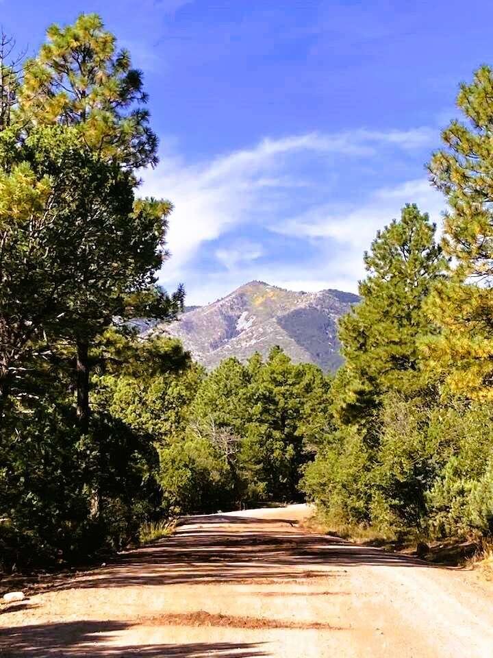 256 Red Canyon Road