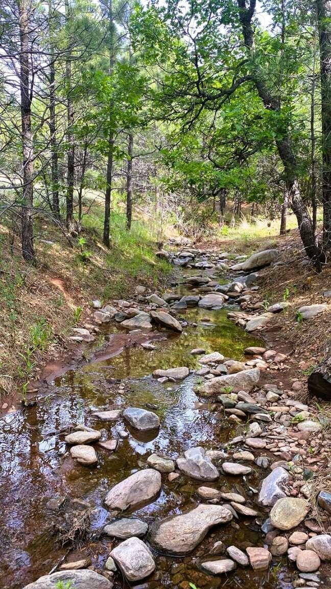 256 Red Canyon Road