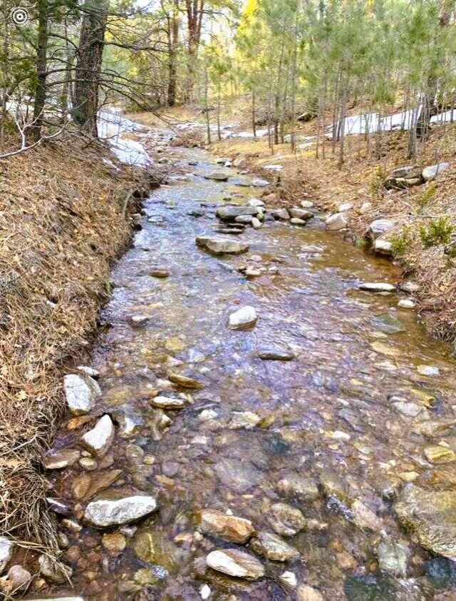 256 Red Canyon Road