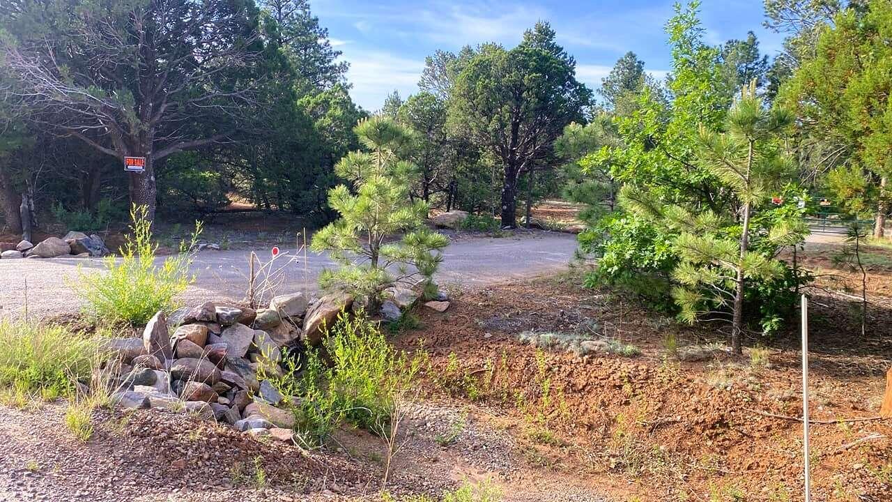 256 Red Canyon Road