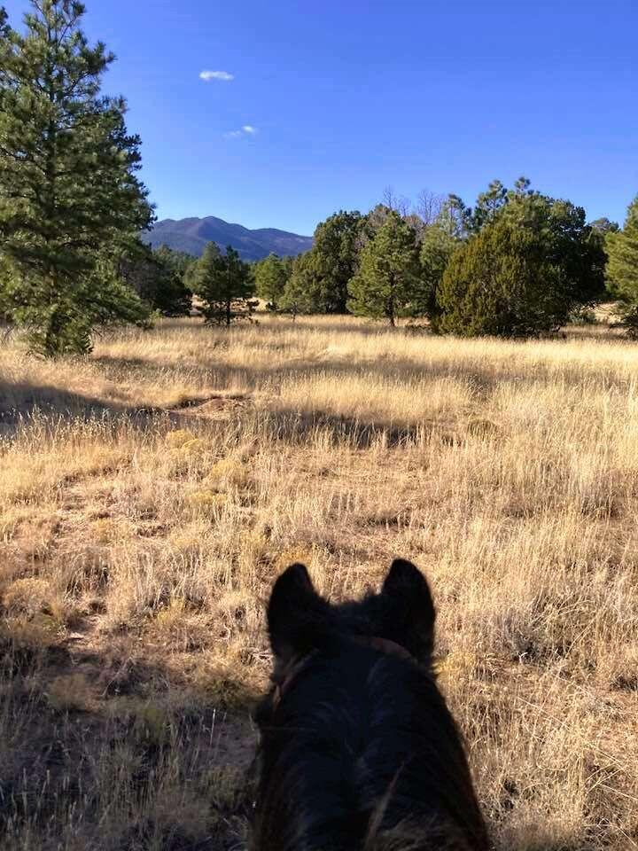 256 Red Canyon Road