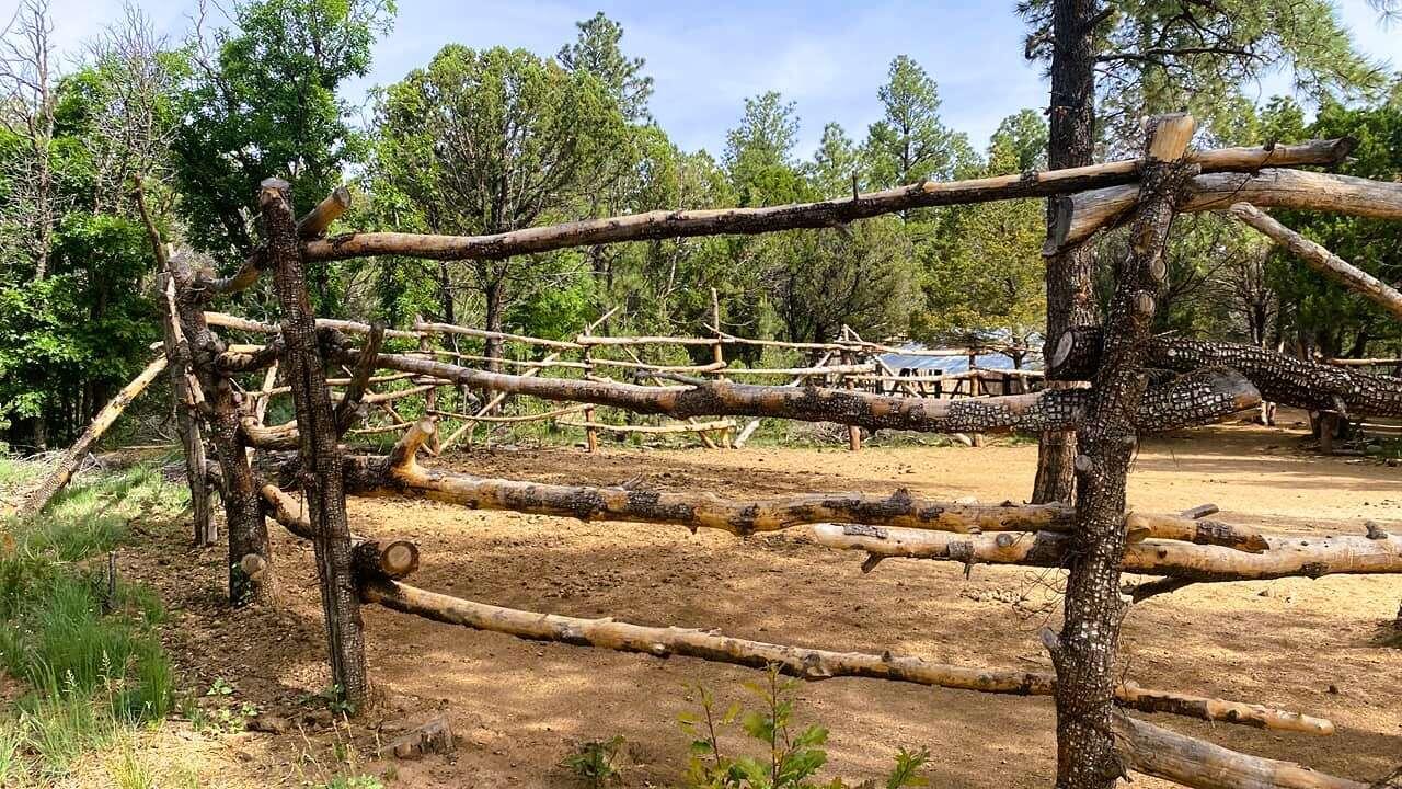 256 Red Canyon Road
