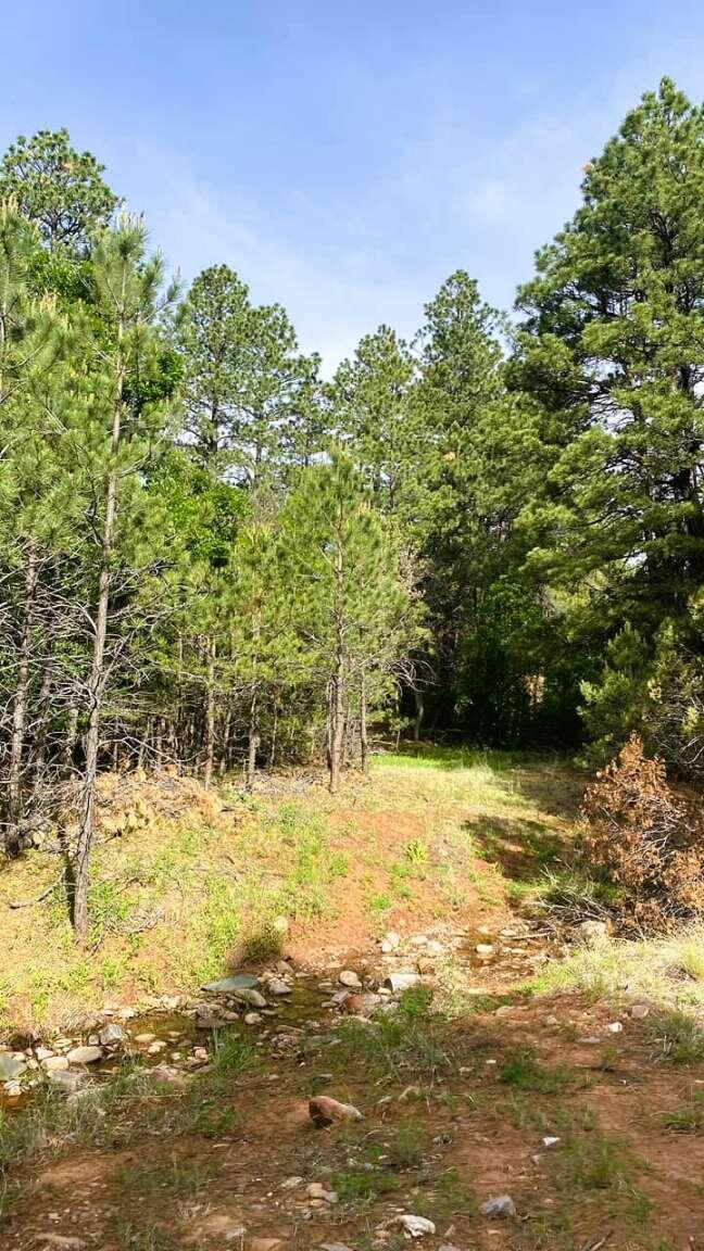 256 Red Canyon Road