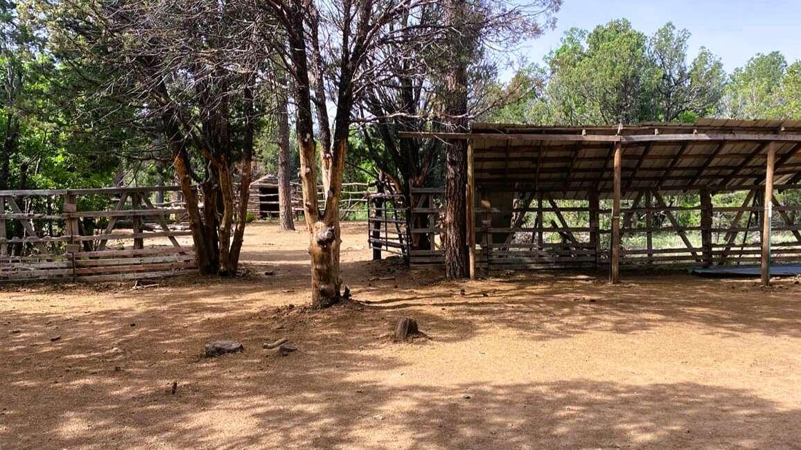 256 Red Canyon Road