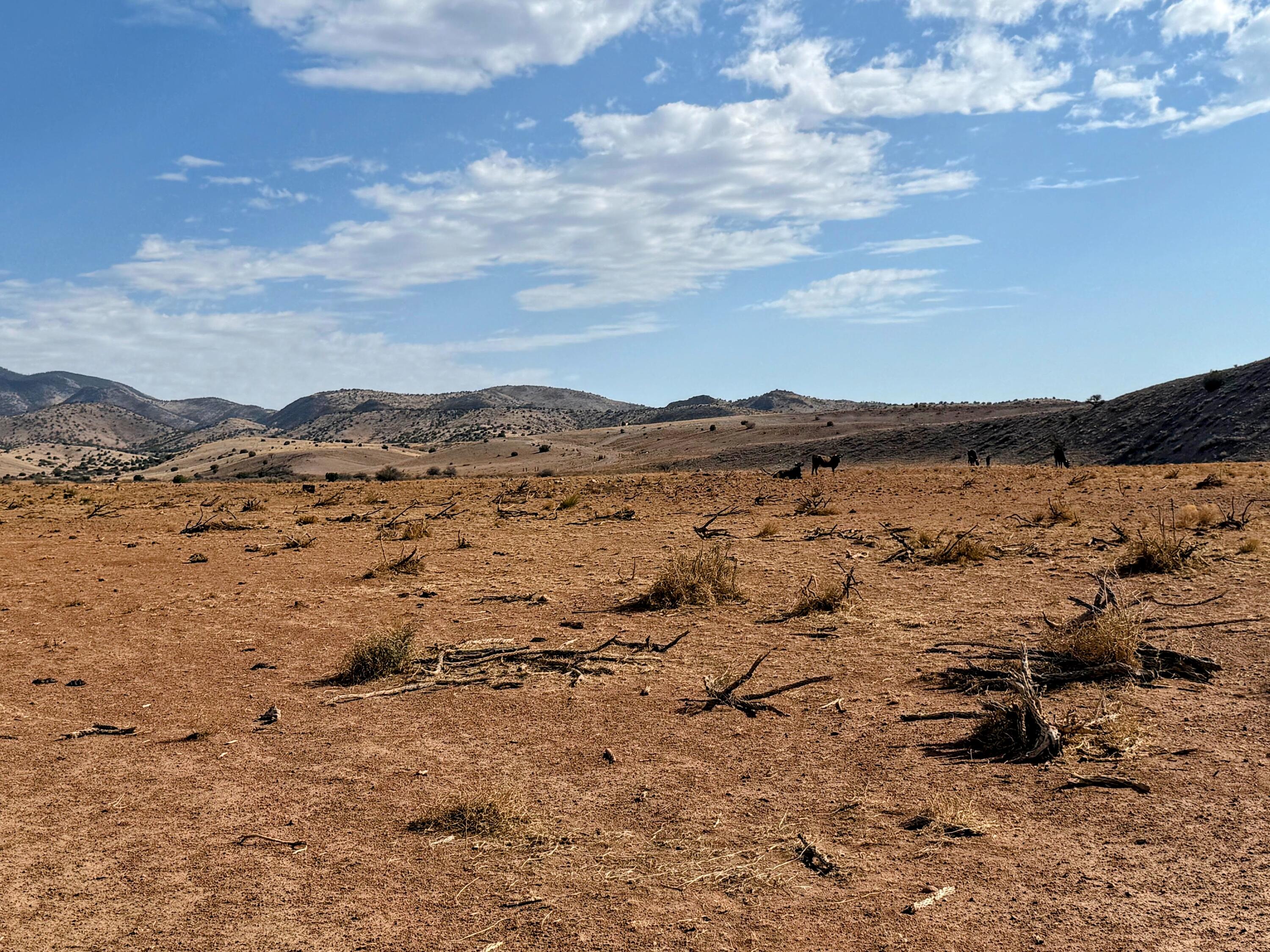 Lot 122 Golden Ridge