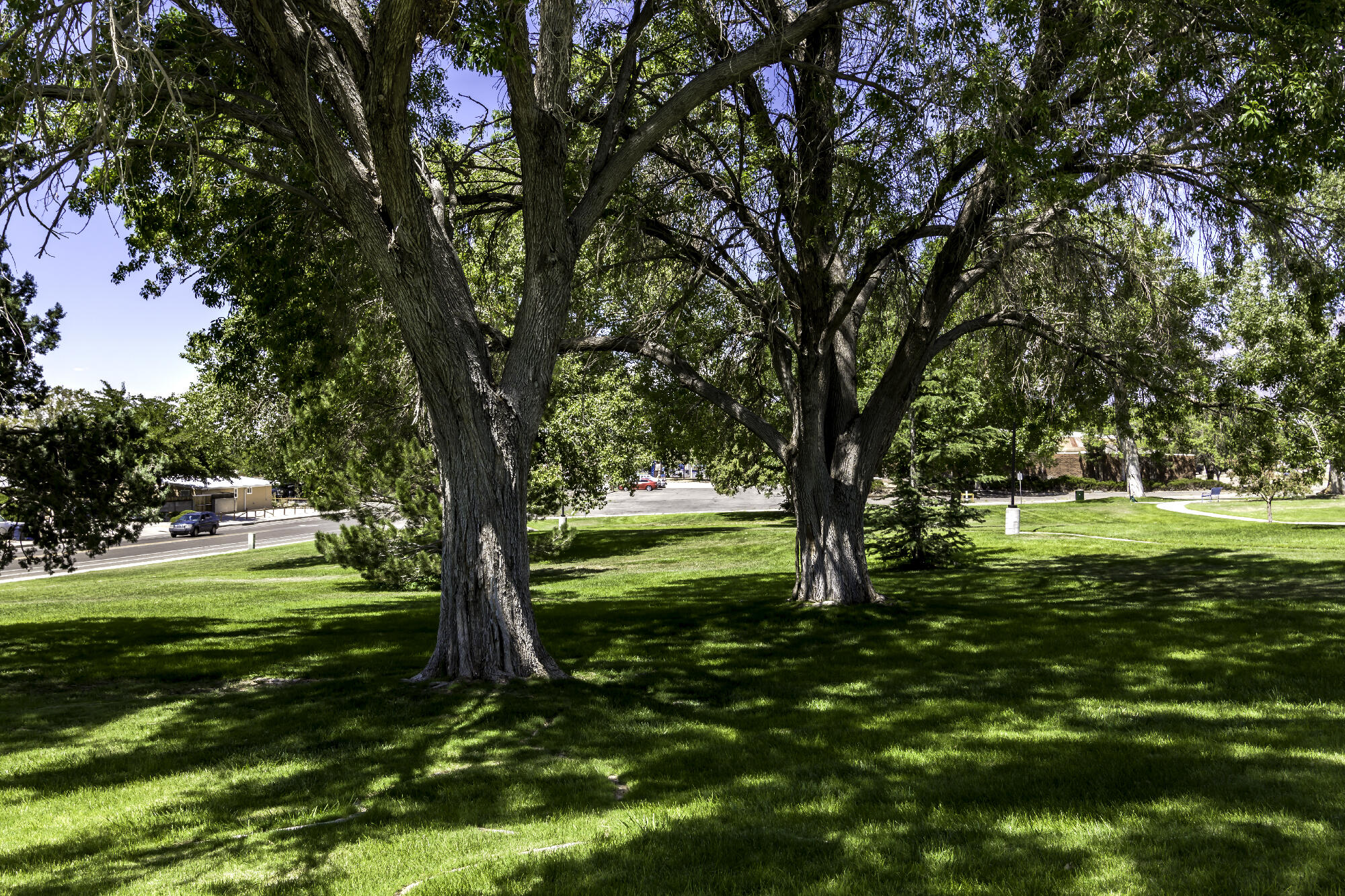 1909 Othello Court NE