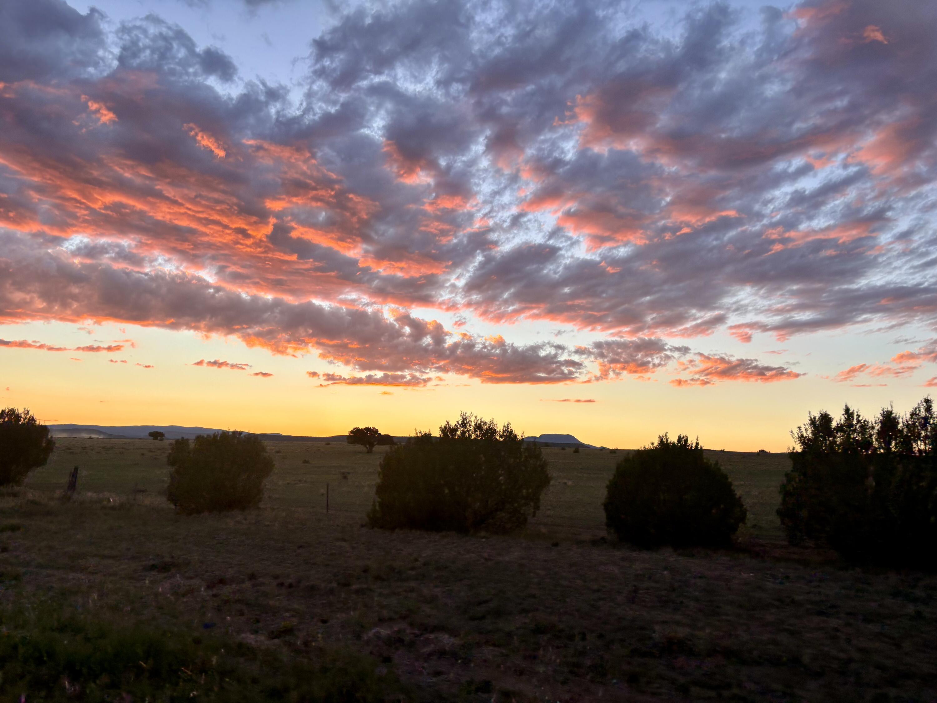 43 Camino de Chrystal