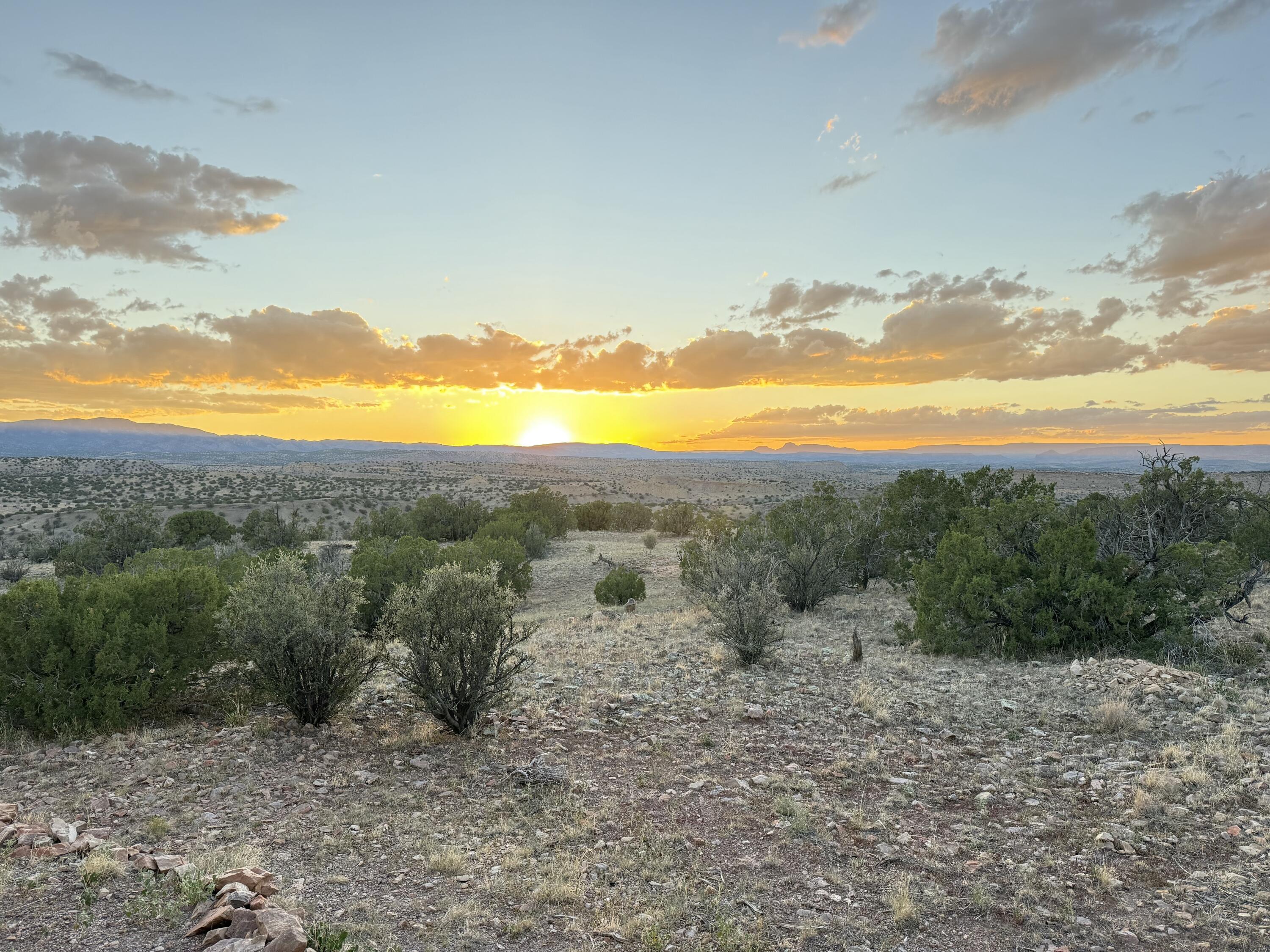 43 Camino de Chrystal