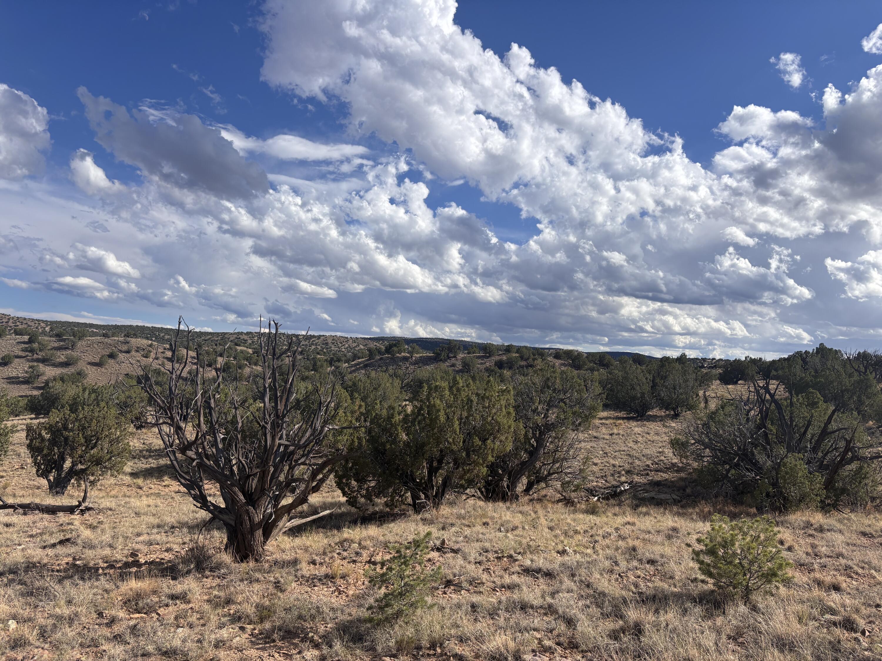 43 Camino de Chrystal