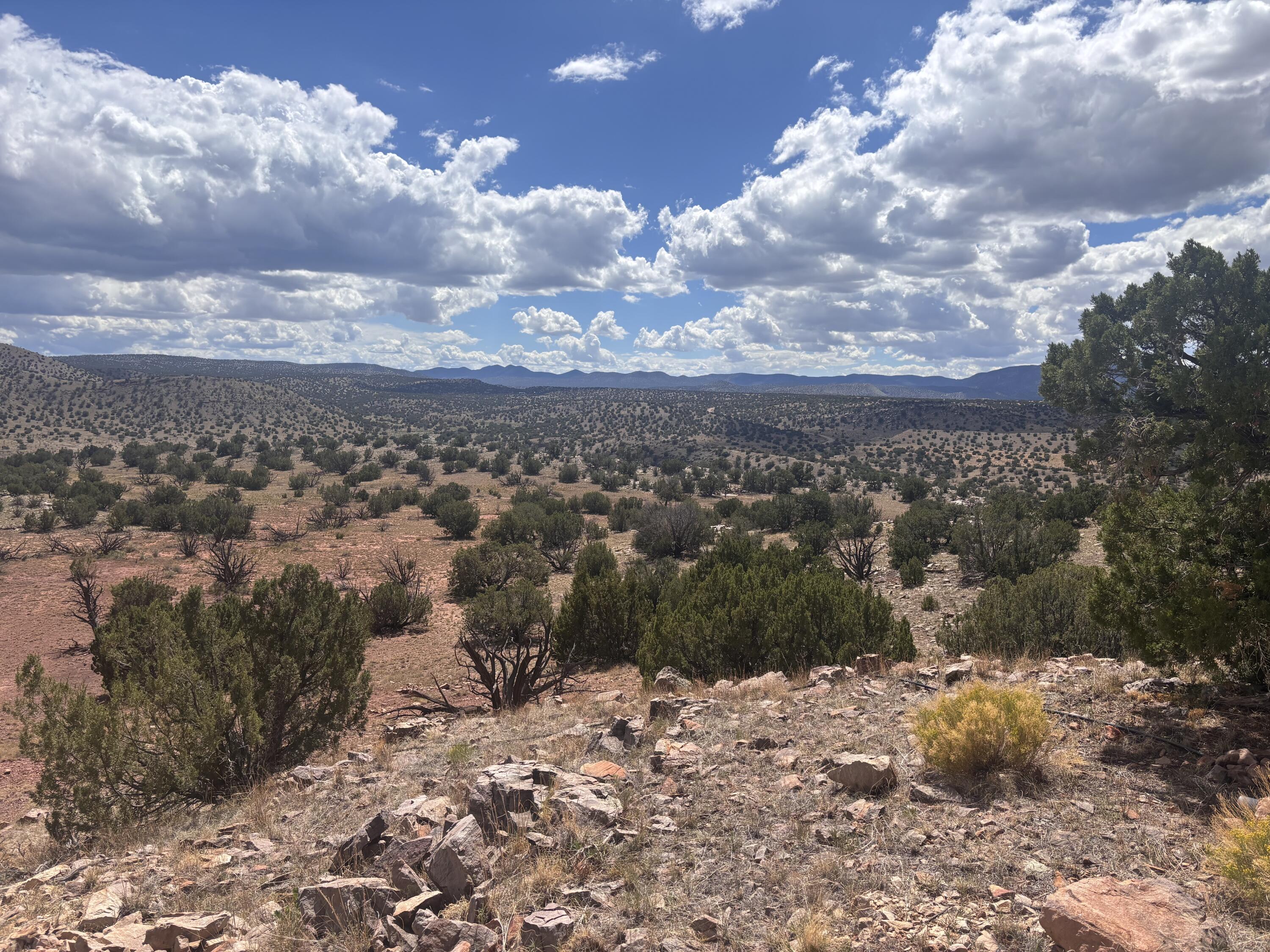 43 Camino de Chrystal