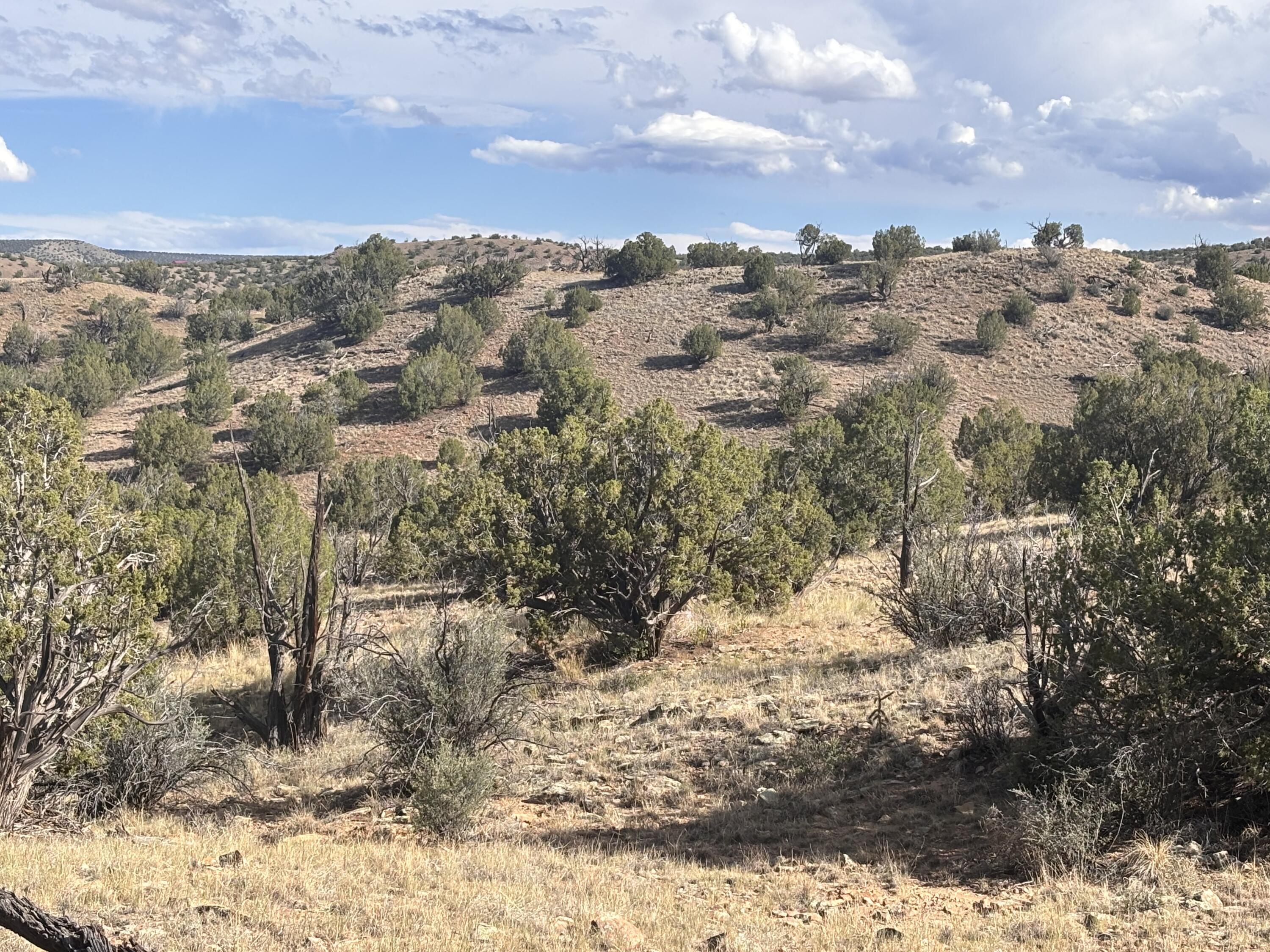 43 Camino de Chrystal