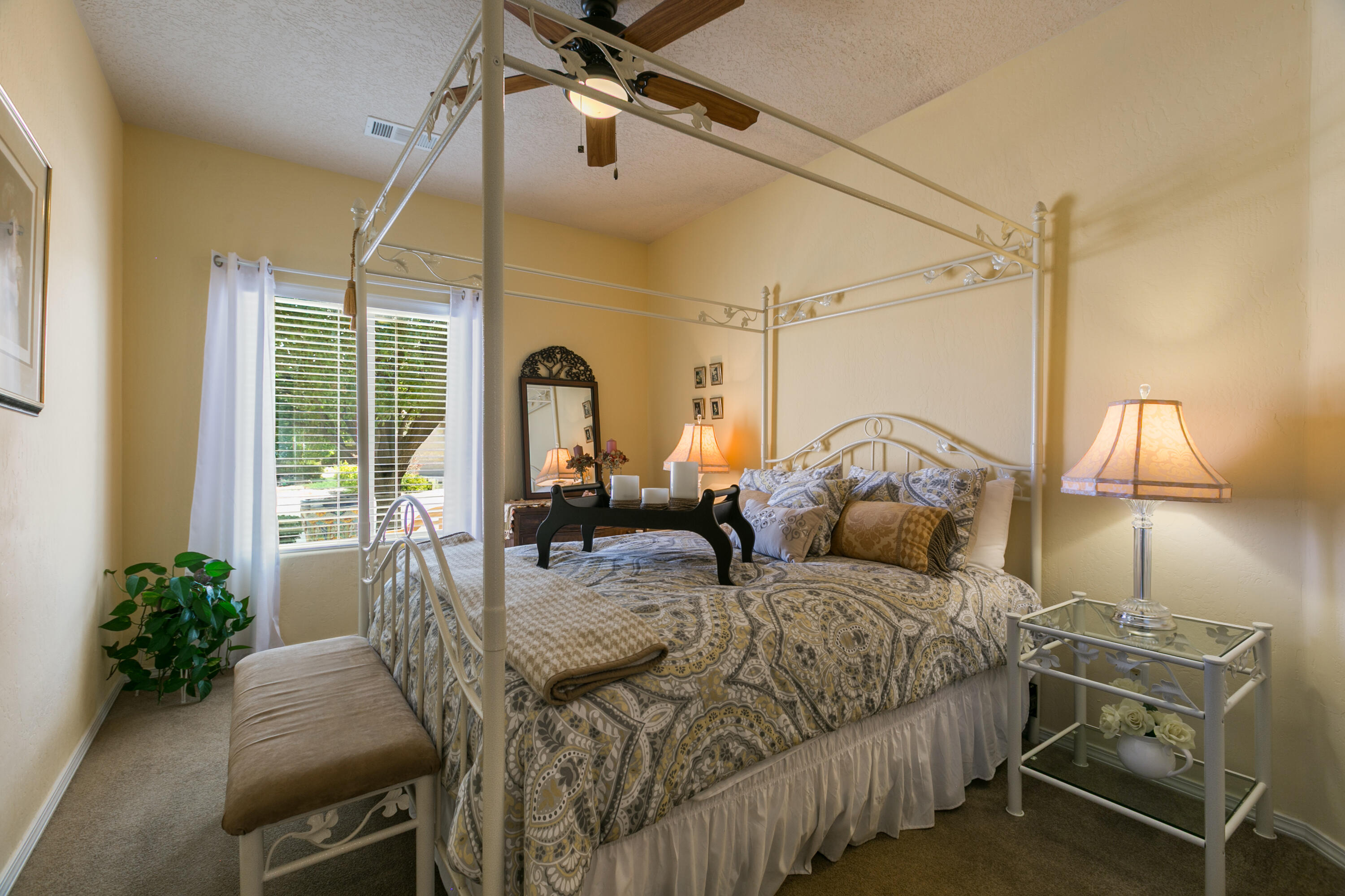 1011 DESERT WILLOW Court