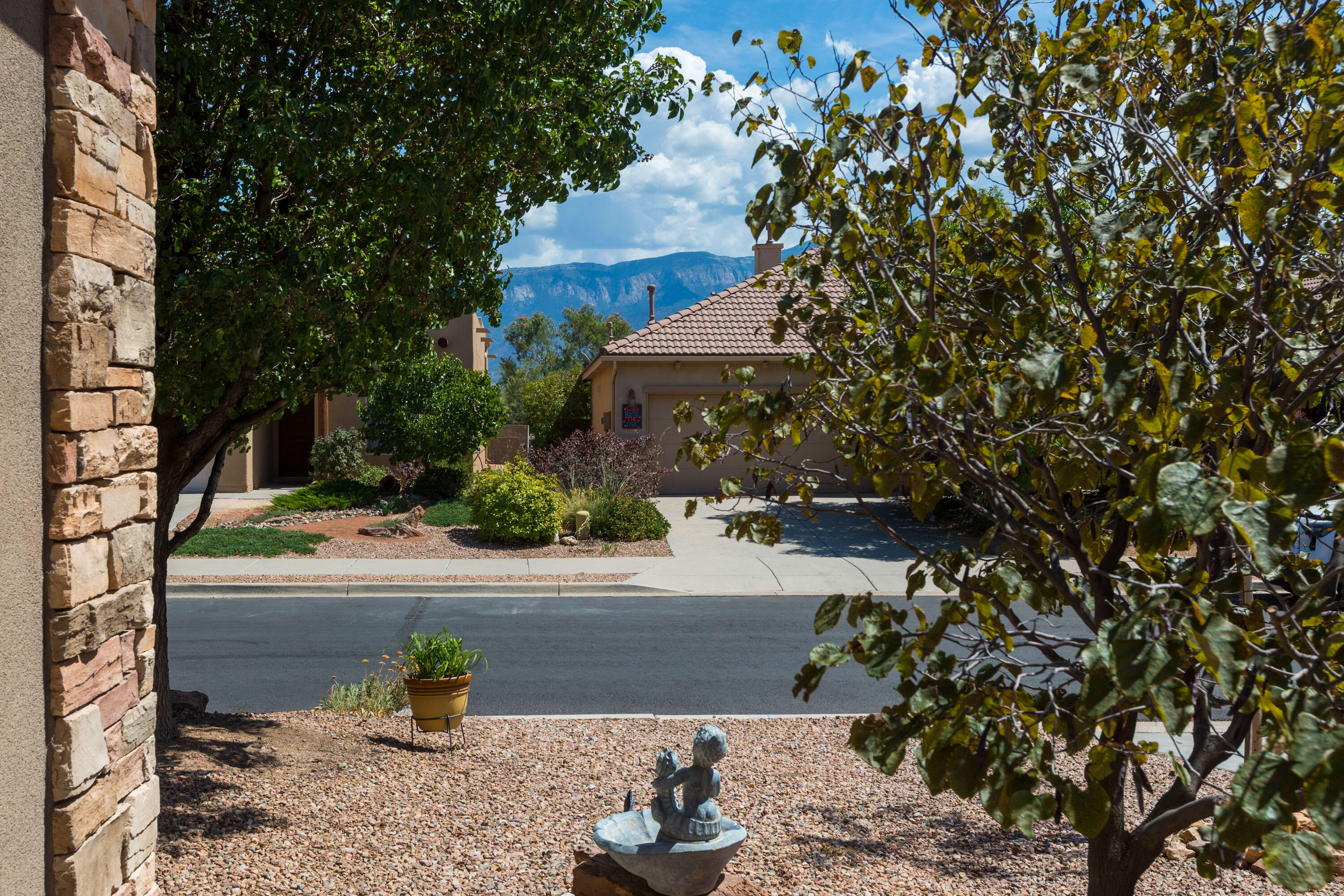 1011 DESERT WILLOW Court