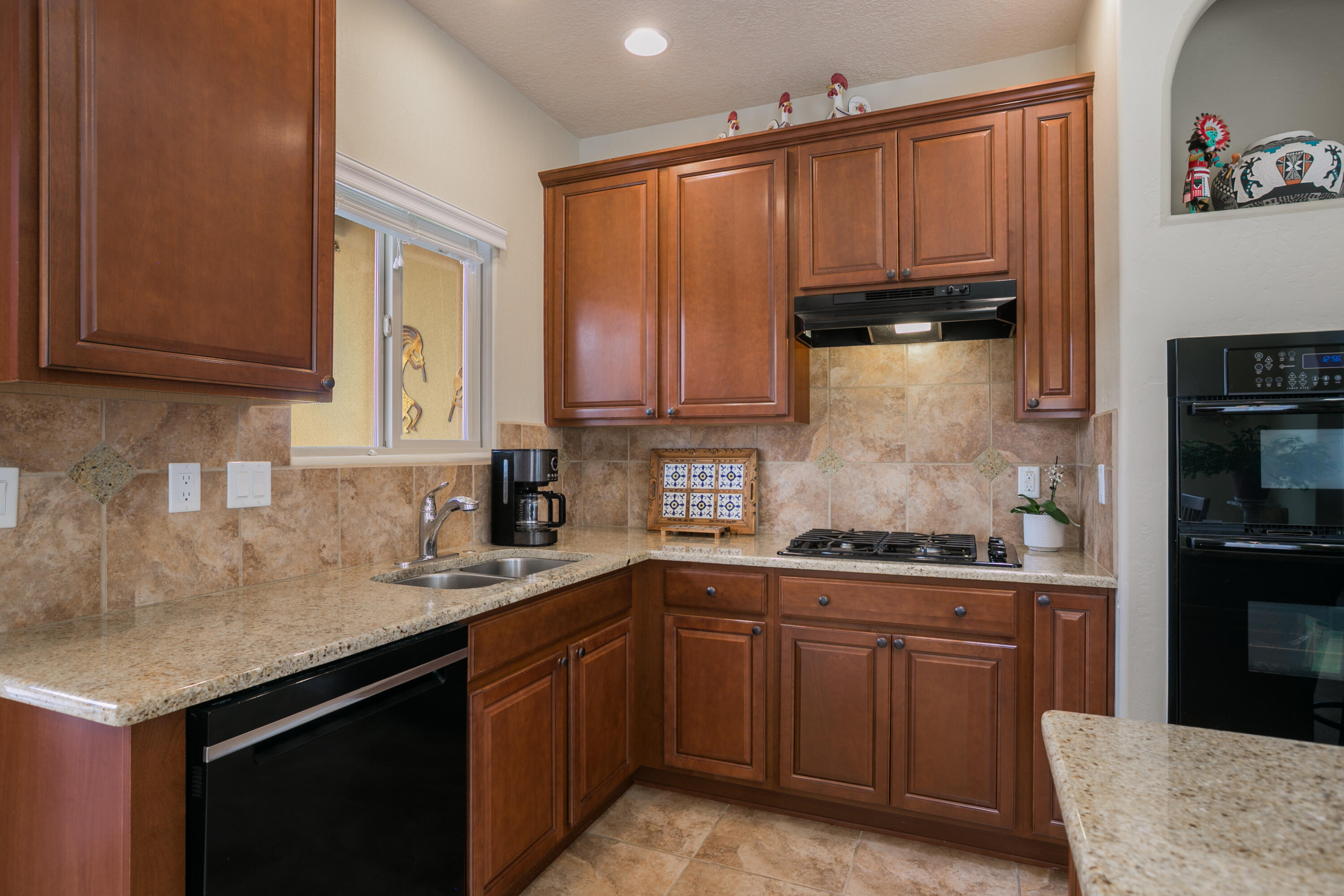 1011 DESERT WILLOW Court