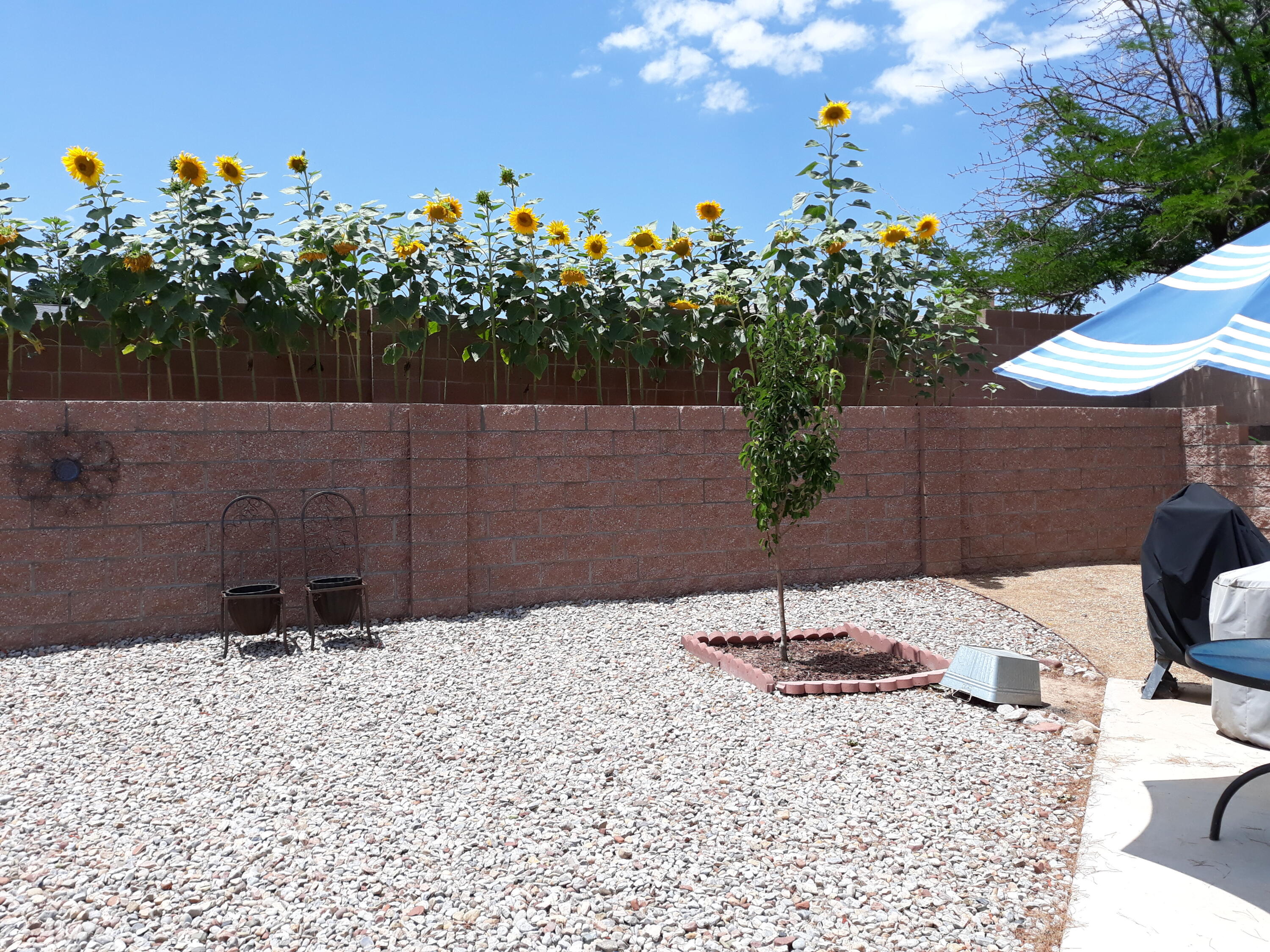 6358 SANDPIPER Trail NE