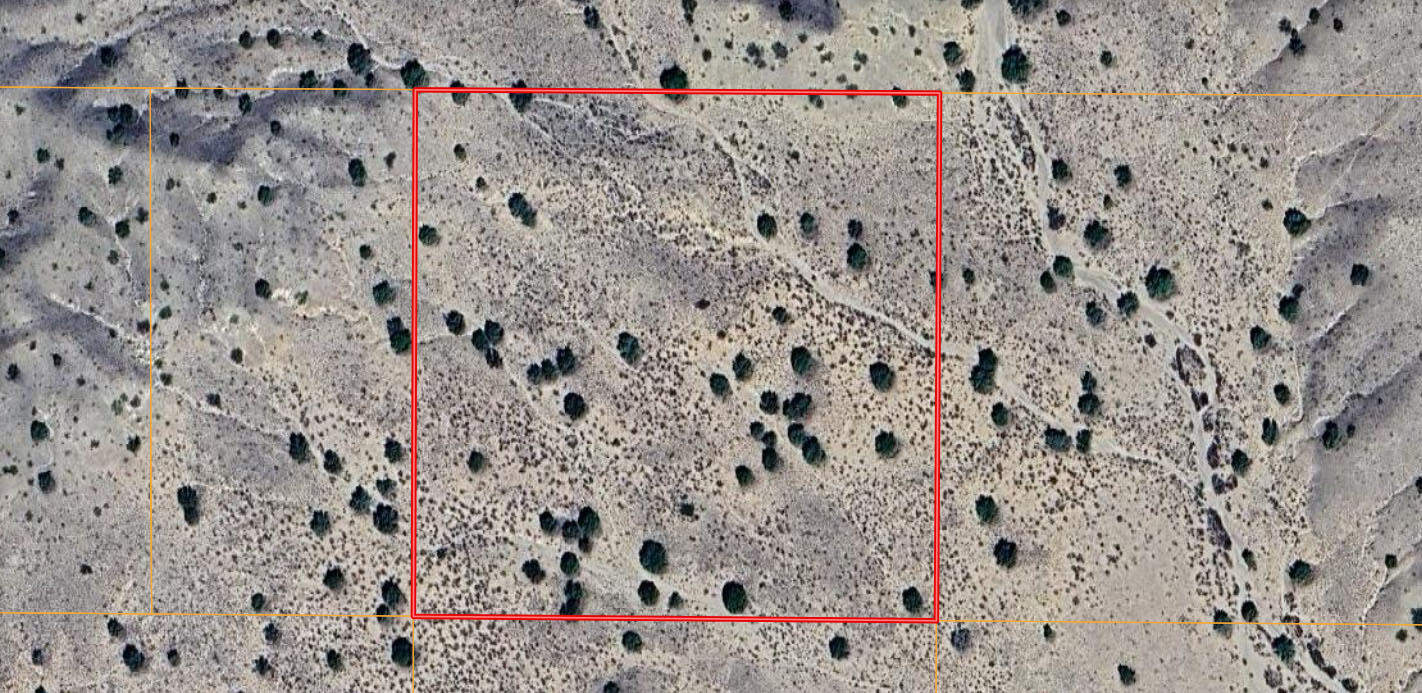 Lot 4 North of NM Hwy 6