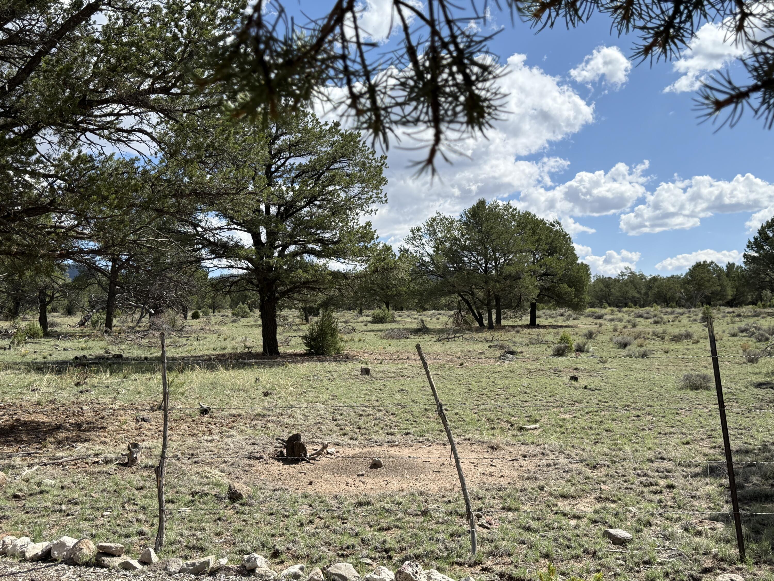 88 EL CASO Road