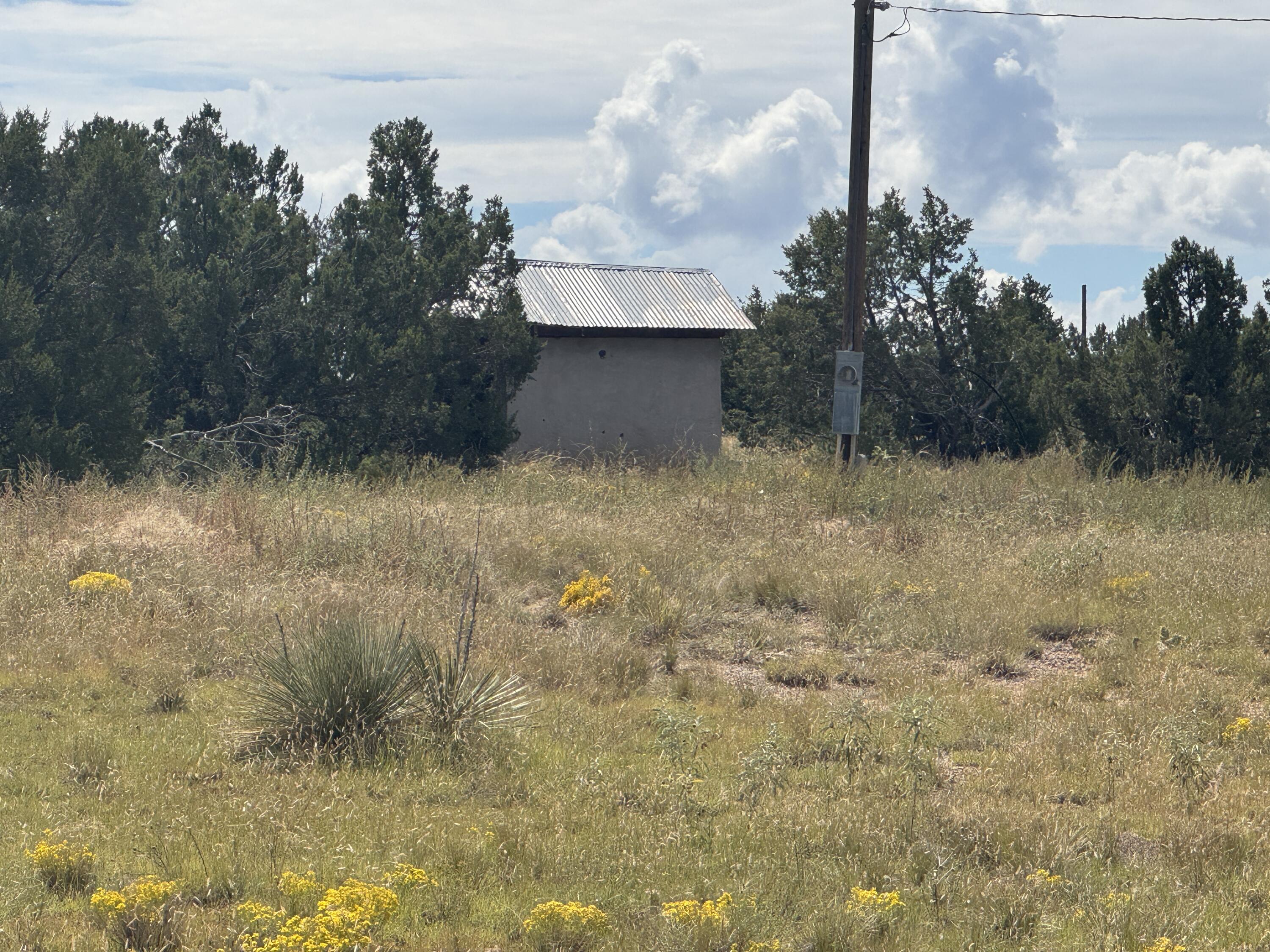 296 POHL Road