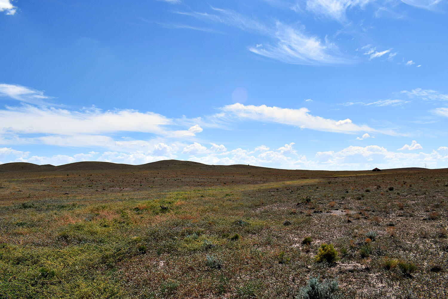13 Roadrunner Road