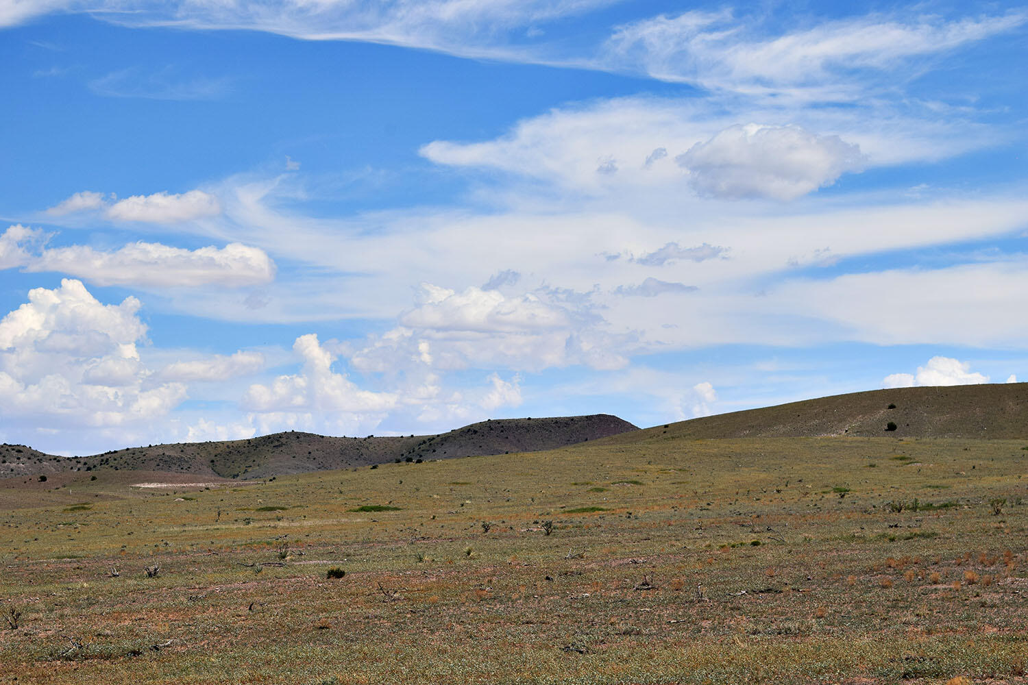 13 Roadrunner Road