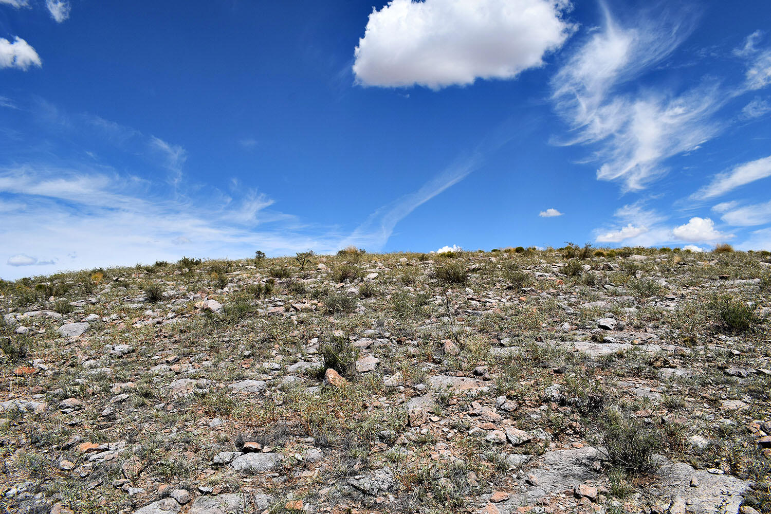 13 Roadrunner Road