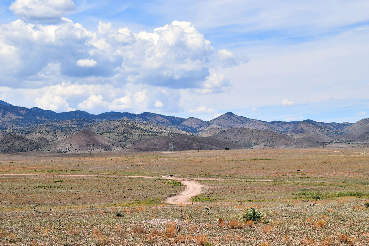 13 Roadrunner Road