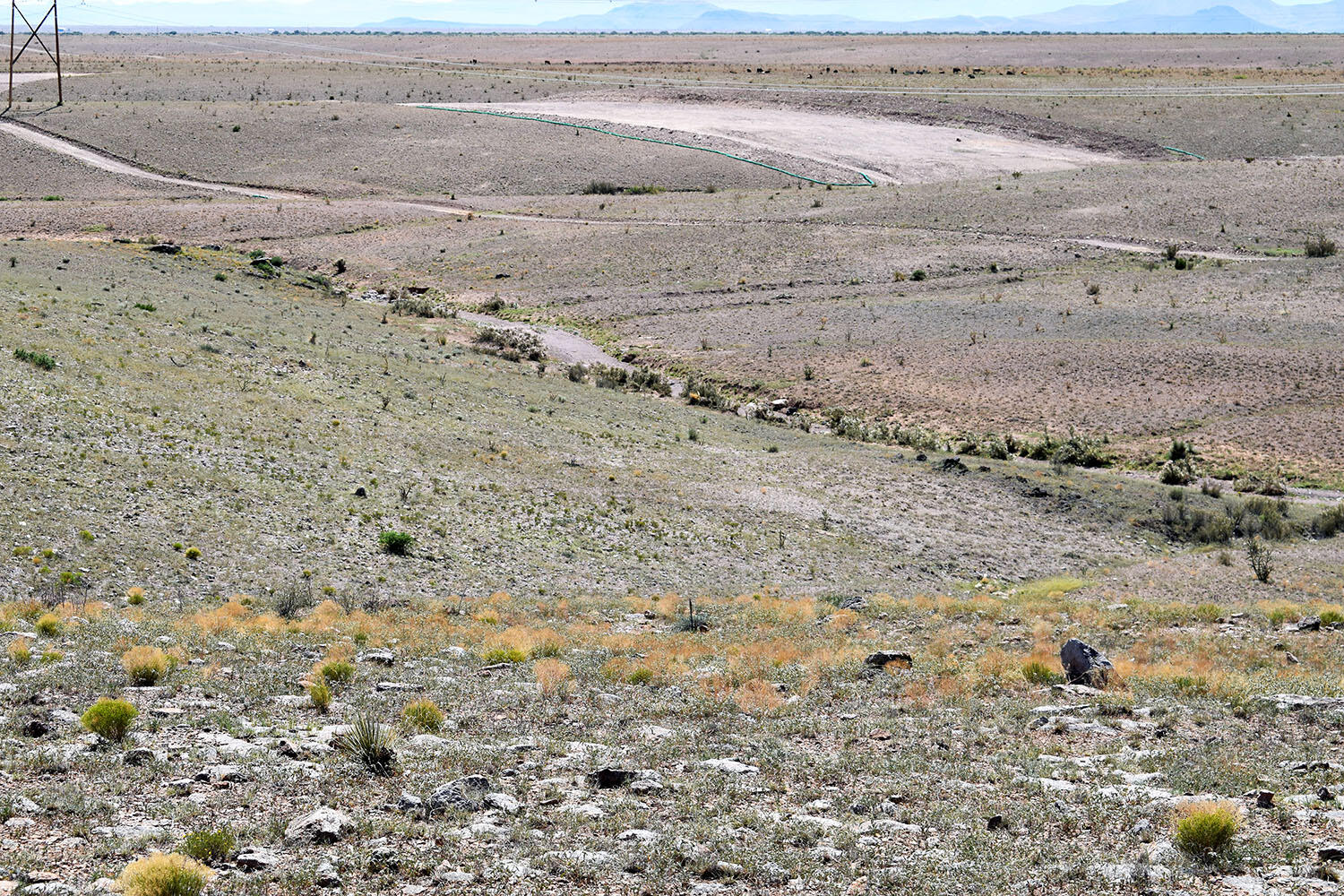 13 Roadrunner Road