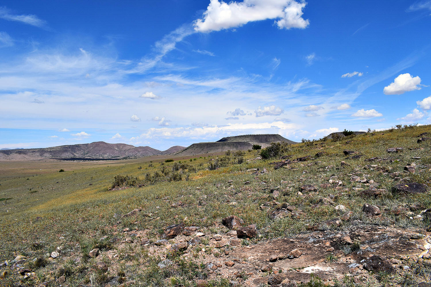 13 Roadrunner Road