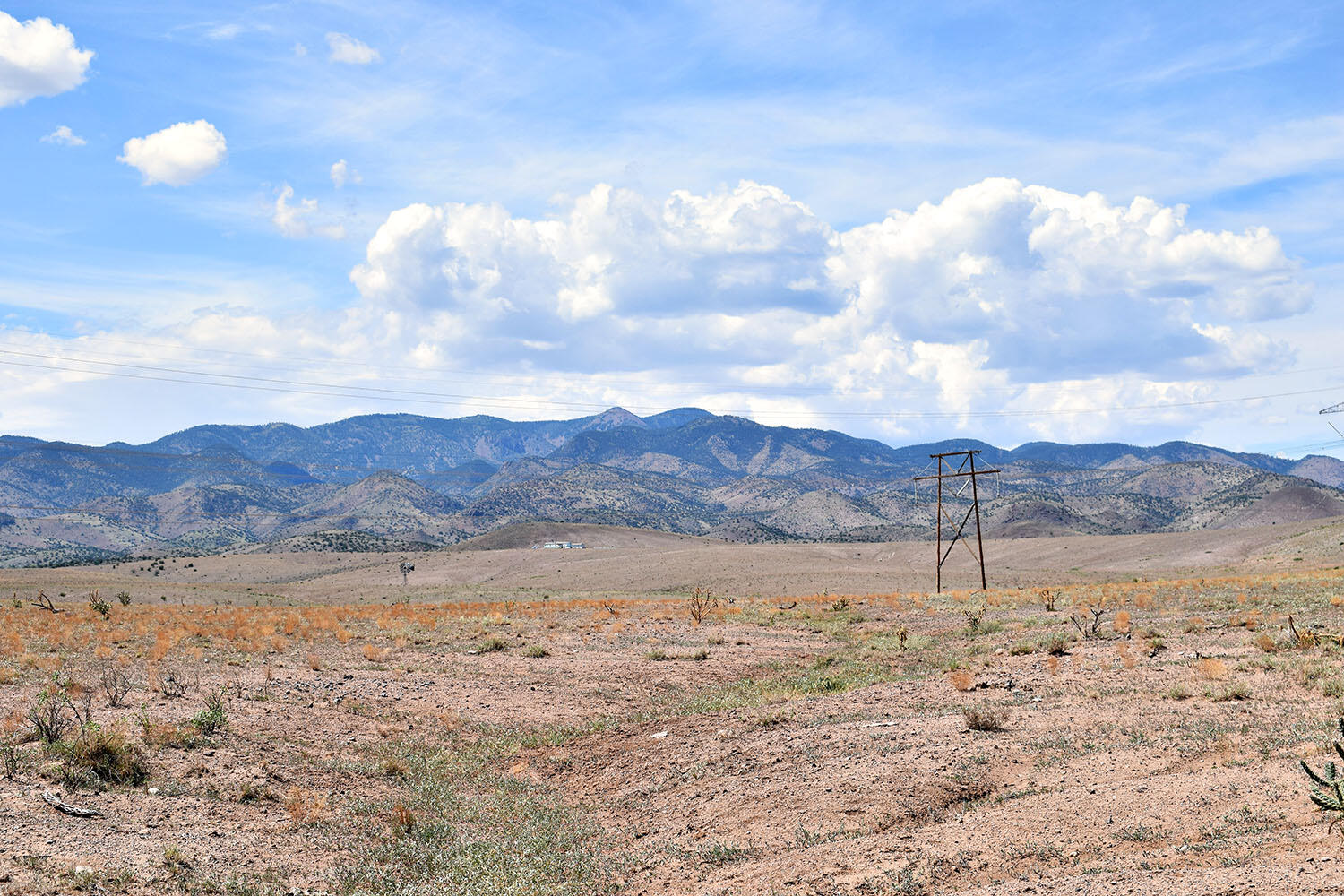 13 Roadrunner Road