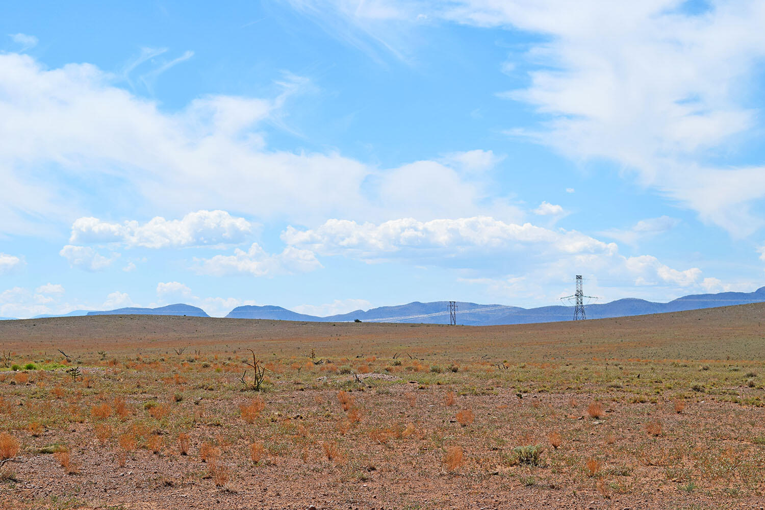 13 Roadrunner Road