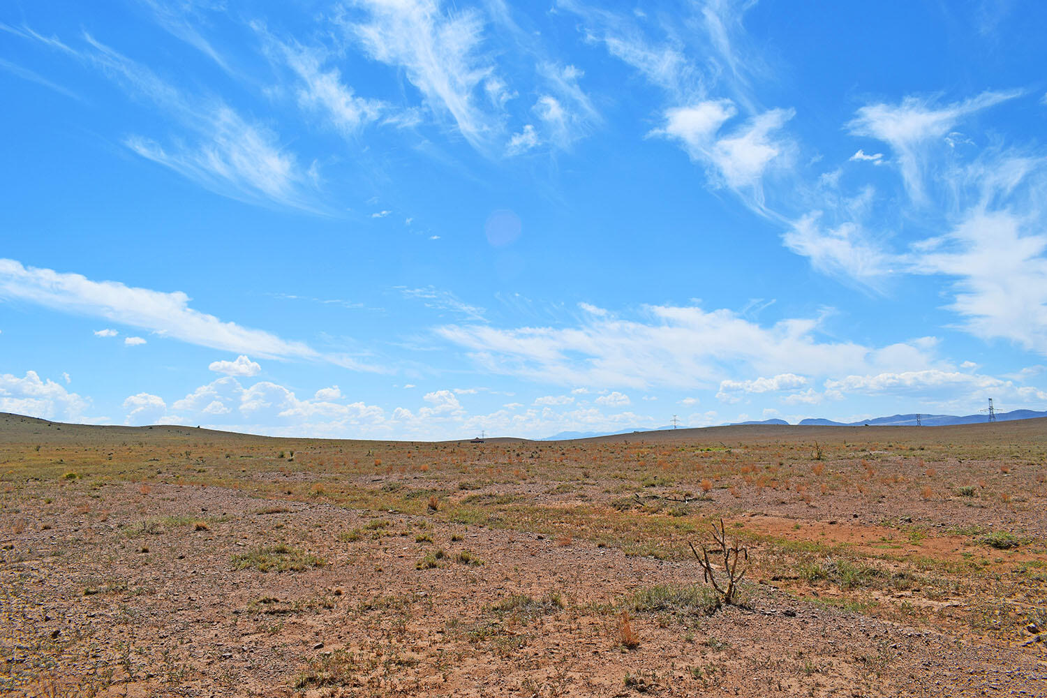 13 Roadrunner Road