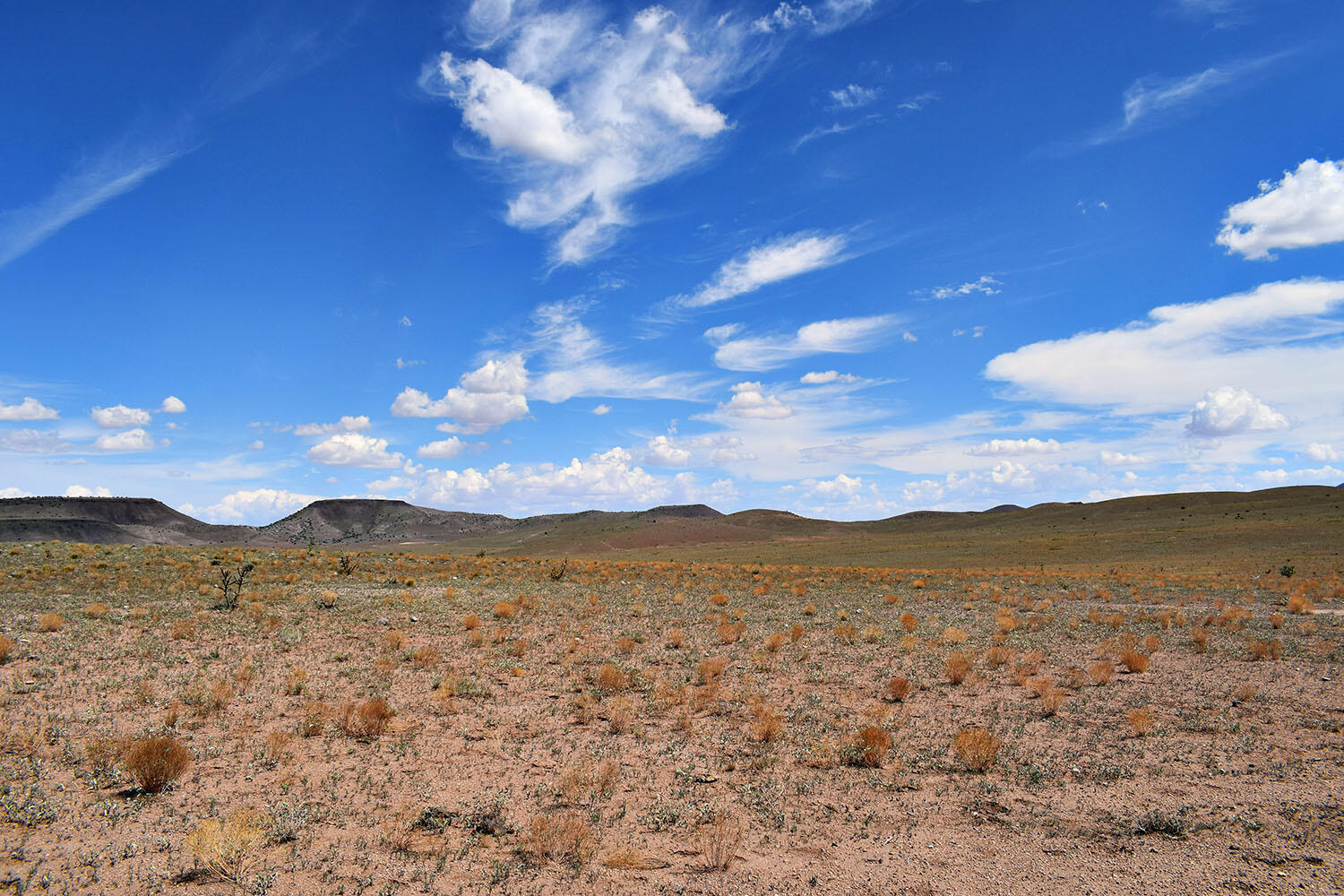 13 Roadrunner Road