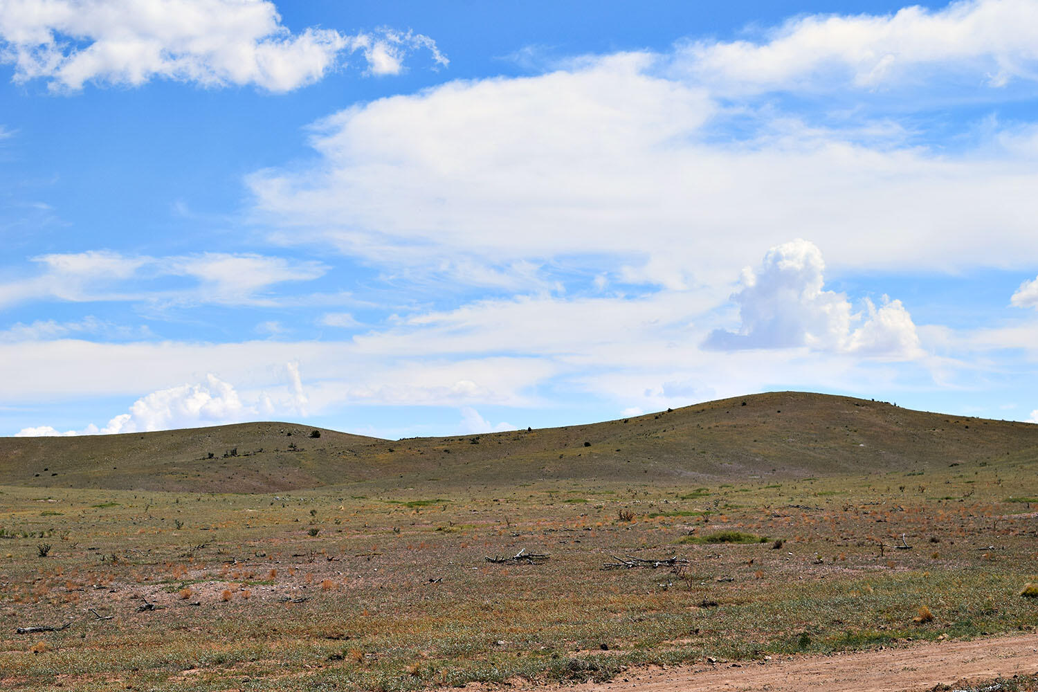 13 Roadrunner Road