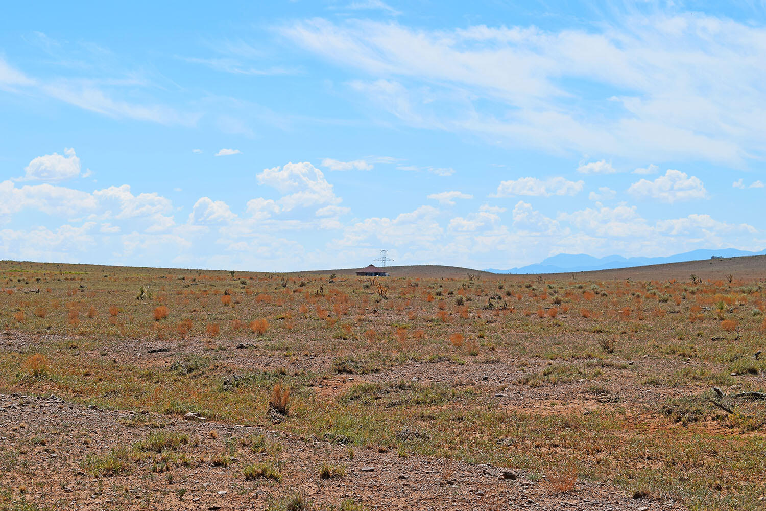 13 Roadrunner Road