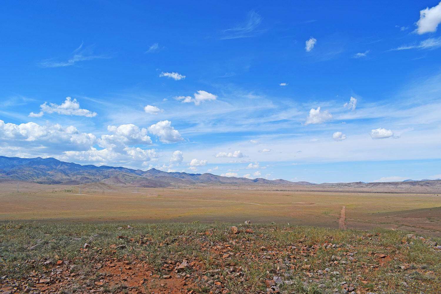 13 Roadrunner Road