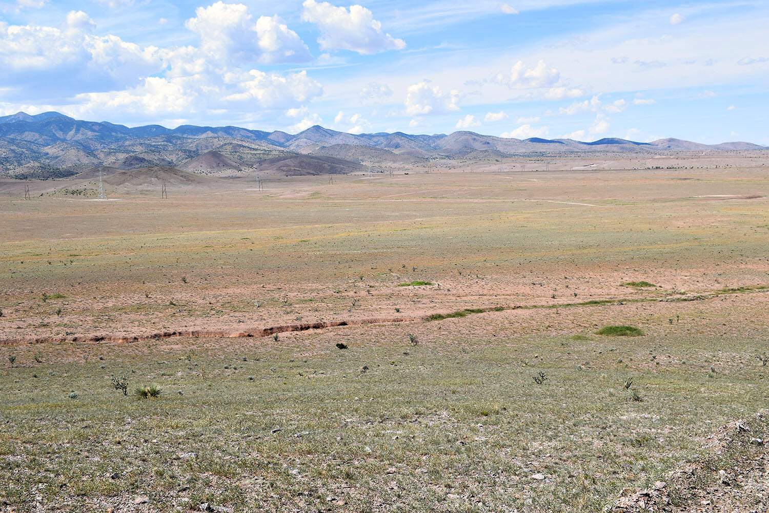 13 Roadrunner Road