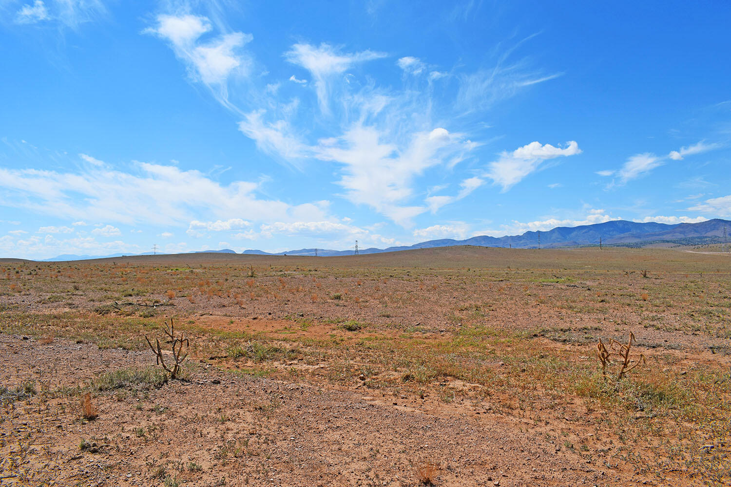13 Roadrunner Road