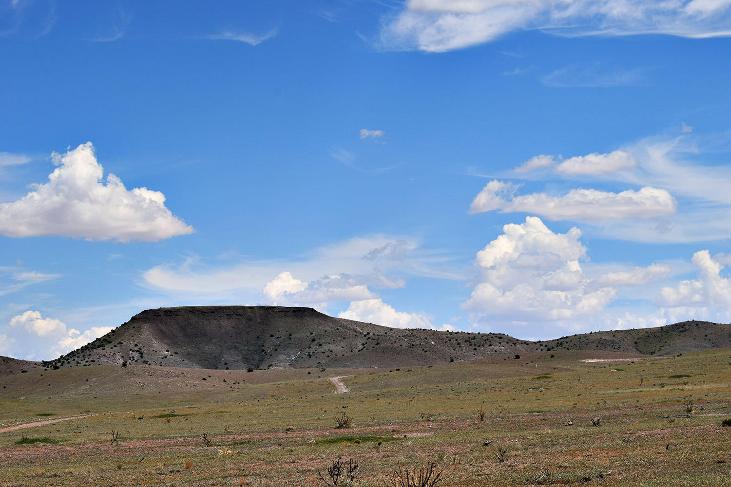 13 Roadrunner Road
